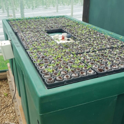 Ebb & Flow (Standard)