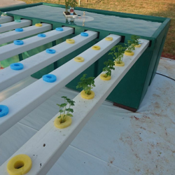 Hydroponic Home Garden (Single)